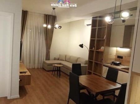 Apartament Me Qera 1+1 Ne Ali Dem (ID B2101440) Tirane