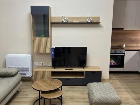 1+1 apartment for rent at Bulevardi i Ri