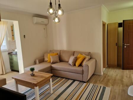 Okazion Shitet apartament 1+1 Ali Dem