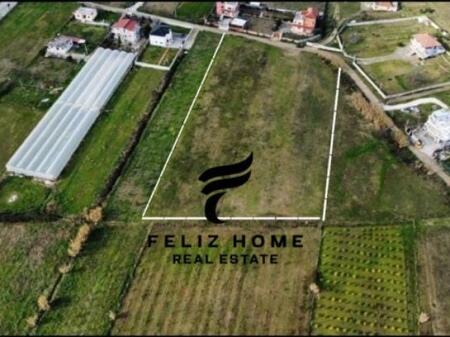 SHITET TRUALL 7000M2 PRUSH 700.000 EURO