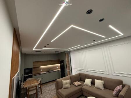 Appartamento in Affitto 1+1 a Paskuqan (ID B2101443) Tirana