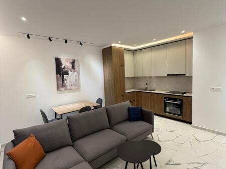 Apartament me qera 1+1, Zogu i Zi