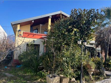 VILE PER QERA NE SAUK