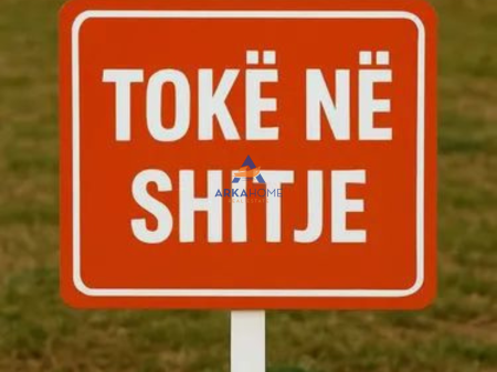 SHITET TOKE 10000M2 "NE VORE" 1.000.000 EURO