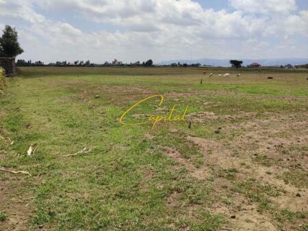 LAND FOR RENT 4000 M2 MEZEZ 800 EURO