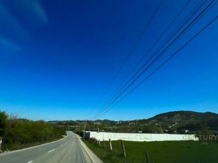 Toke ne Shitje, Vishaj