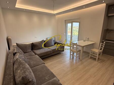 APARTMENT FOR RENT 2+1 SAUK 530 EURO