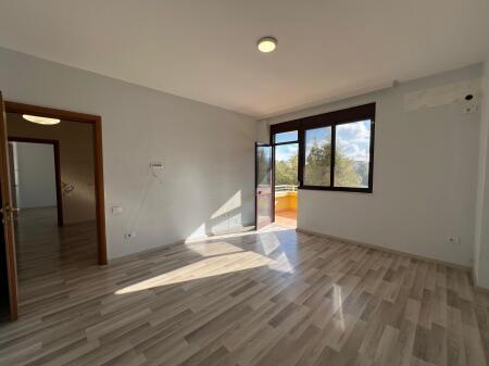 Zyre me qira tek St Dinamo!
