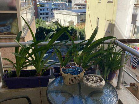 For sale , Apartment 2+1 , Fresku , Tirana