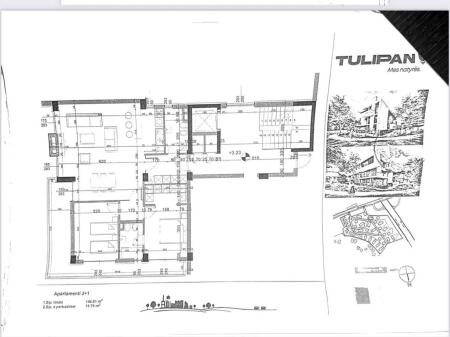 Okazion – 2 Apartamente 2+1 në Tulipan Residence 📍 Rezidenca Tulipan – faza e pllakave