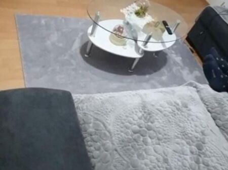 APARTMENT FOR RENT 1+1 ARROW BUILDING 45,000 LEKE