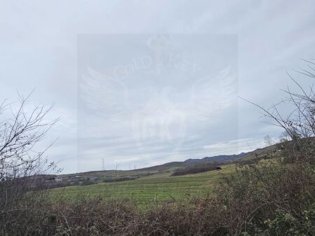 🏡 SHITET TOKË NË GJEPALAJ – ZONË SHUMË E MIRË 🌿