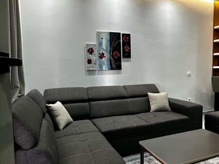 Apartament me qera 1+1 te Delijorgji