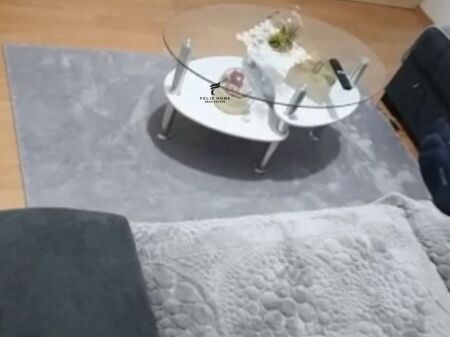 APARTMENT FOR RENT 1+1 ARROW BUILDING 45,000 LEKE