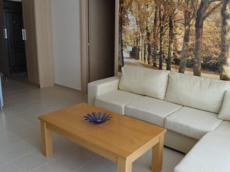 FOR RENT 1+1+PARKING SPACE DRY LAKE 630 €