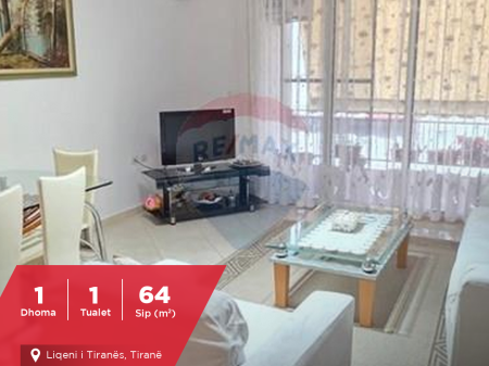 Apartment - For Rent - Tirana Lake, Tirana