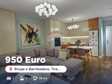 Apartament 1+1 per qira tek Rruga e Barrikadave!