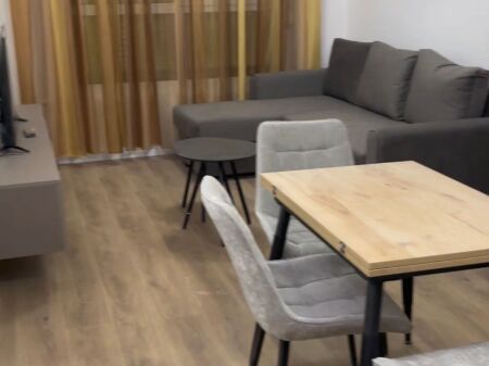 Appartamento 1+1 in affitto appena arredato alla residenza Kadiu, Ali Demi!