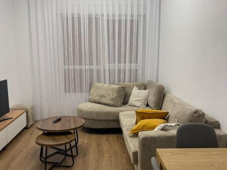 Apartment 1+1 for rent