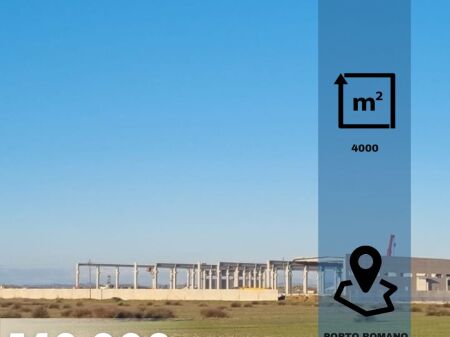 SHITET TOKE PORTO ROMANO DURRES