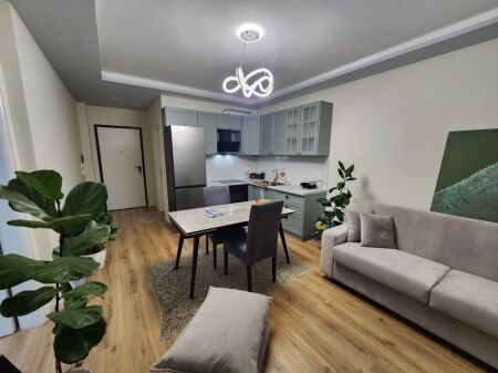 APARTMENT FOR RENT 1+1 FRESH 550 EURO