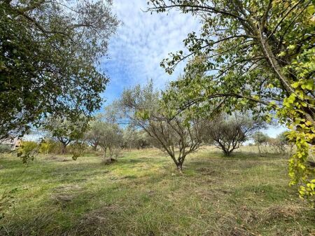 Toke ne shitje ne Lunder