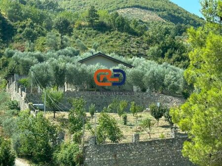 Ne Petrele, Jepet Vile Me Qira Me Pamje Fantastike!