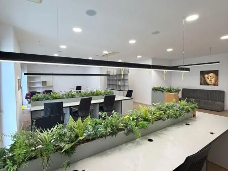 🏡 Jepet Ambient modern per zyre me qira te Kompleksi Delijorgji