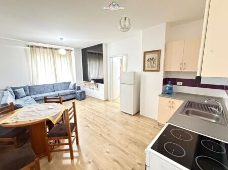 Appartamento In Affitto 1+1 Vicino 21 Dhjetori ( ID B2101490 ) Tirana