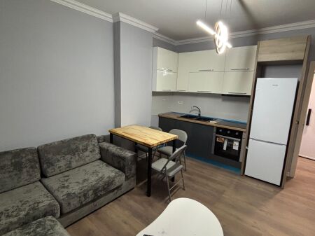 Jepet me qira apartament 1+1  Astir, Rruga Loni Ligori