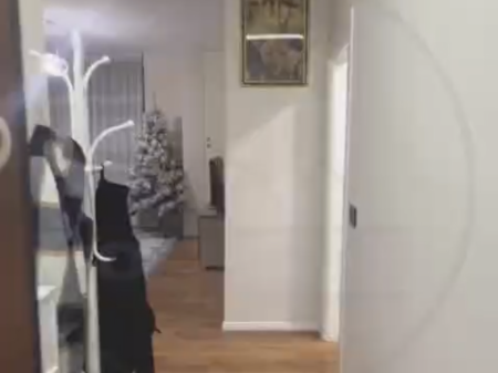 Appartamento 1+1 in affitto  