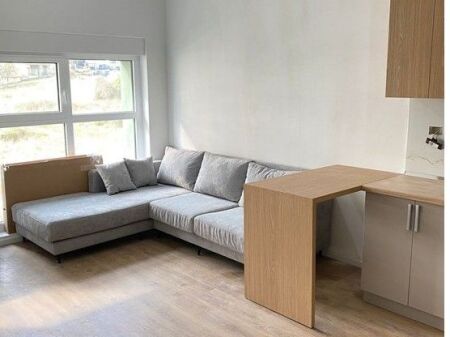 Apartment 1+1 For Rent At Ali Demi