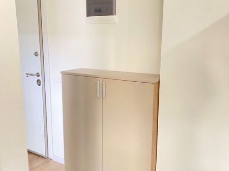 APARTMENT 1+1 FOR RENT IN ALI DEM