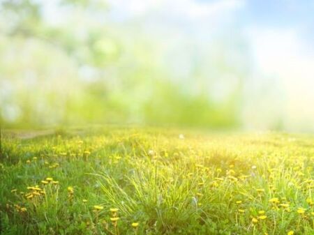 Shitet, Tokë, Autostrada Tiranë-Durrës