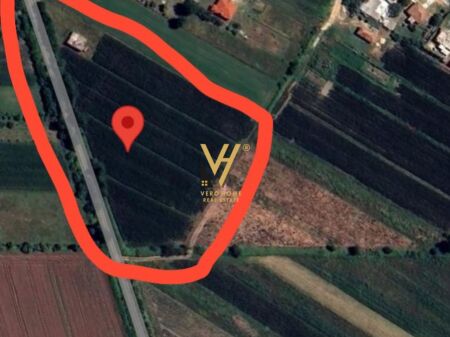 SHITET TOKE 8.600 M2 NE THUMANE 360.000 EURO