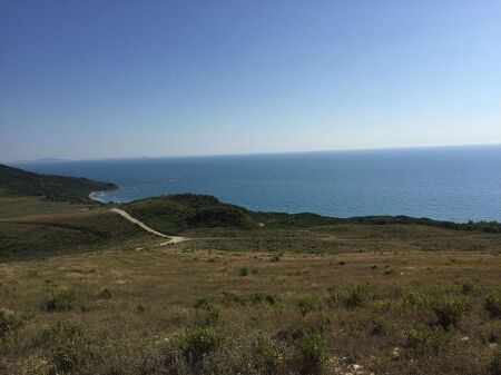 TOKE ME PAMJE, KEPI I RODONIT