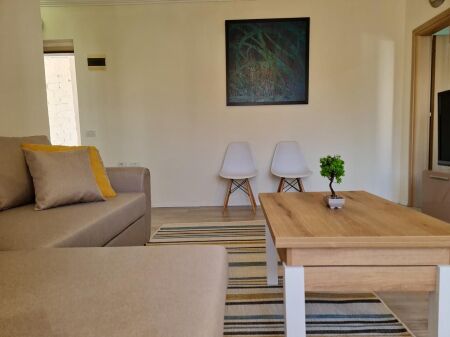 APARTAMENT 1+1 NE SHITJE NE ALI DEM