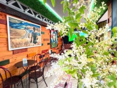 Shitet Biznesi, Fusha e Aviacionit, Tirane