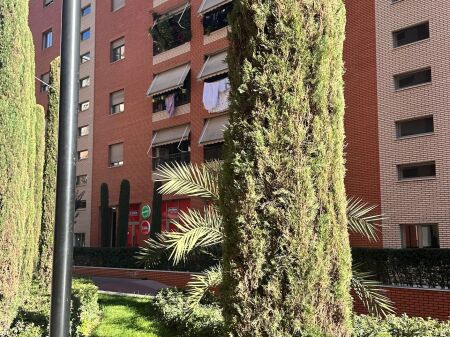 APARTMENT FOR SALE IN DELIJORGJI