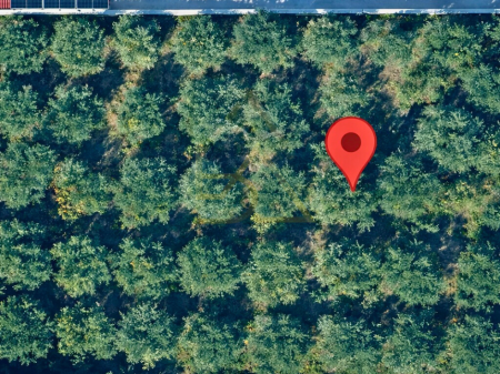 Shitet Tokë – Fier