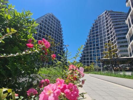 AMBIENT PER ZYRA, LAKE VIEW