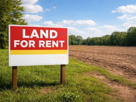 Qera, Toke, Rinas, Tirane