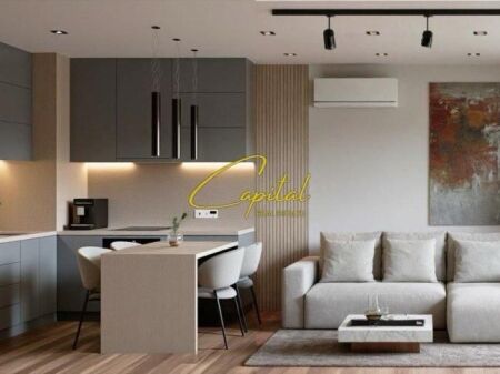 APARTAMENT ME QIRA 1+1 ALI DEMI 590 EURO