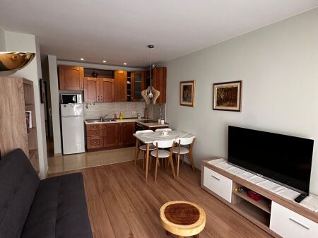 APPARTAMENTO 1+1 , VIA BOGDANEVE‼️