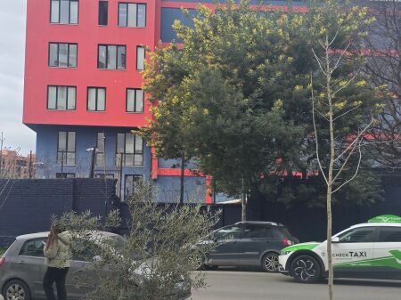 Jeoet me qira 2+1 ,Kinostudio