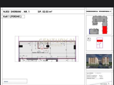 NJESI KOMERCIALE NE SHITJE TEK KODRA E LIQENIT NE PASKUQAN