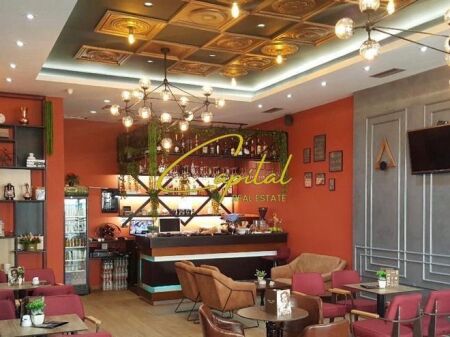 SHITET AMBIENT BIZNESI 61 M2 FRESKU 130.000