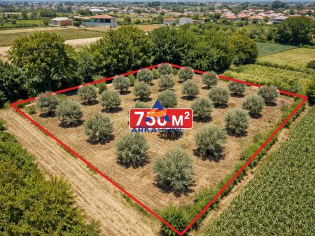 TOKË NË SHITJE 750M2 "RRUGA AULONA, FIER" 45,500 EURO