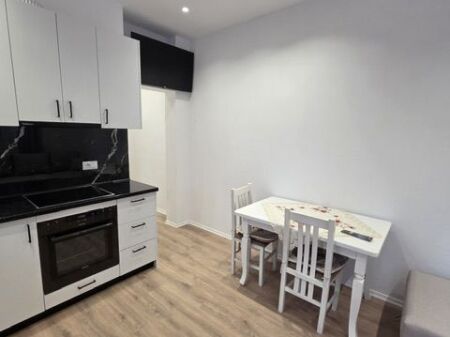 Apartment 1+1 Newly furnished with parking At vilaL2