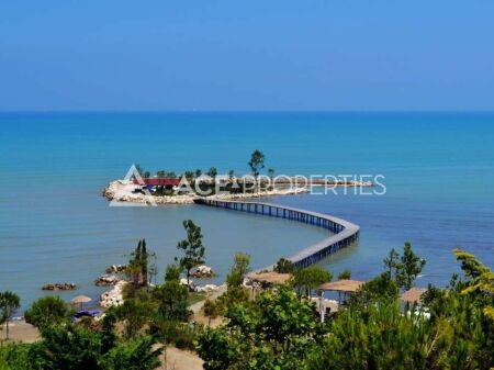 Shitet Toke ne Karpen